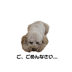 Tetsu_20200709090400