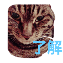 hana_20200708201830