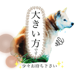 Saori_20200708183136