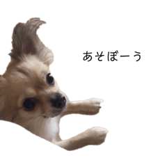 Saori_20200708222605