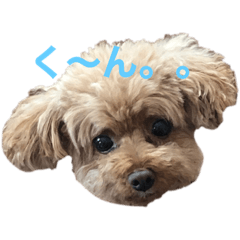 ryuki_20200708222631