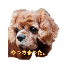 miyabi_20200708200016