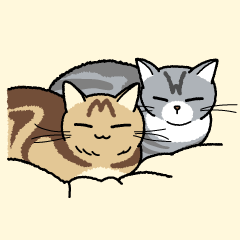 my cute cats Sticker
