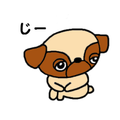 Pug Pug Dog