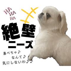 MIZUKI_20200708224203