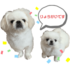 MIZUKI_20200708172812