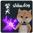 日本語を操る柴犬