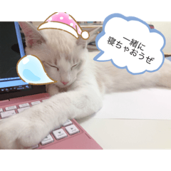 Ringo_20200708232501