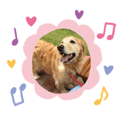 nozomi_20200709113227