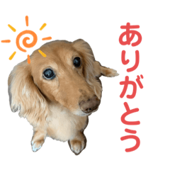 hikari_20200709130428