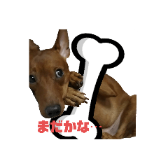 sunifu_20200709145514