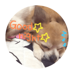 king_20200709144844