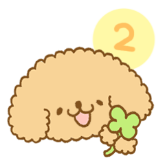 Poodle of cocoa 2