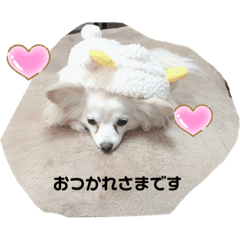 sayuri_20200709150211