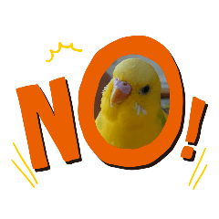 yurina_20200709163001