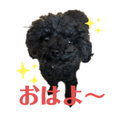 ponkina_20200709174923