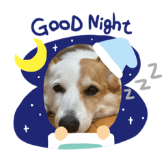 arisa_20200709210749