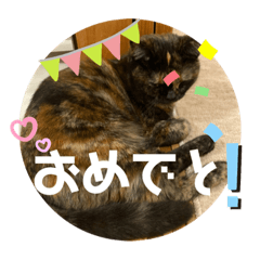 nyanko_20200709213405