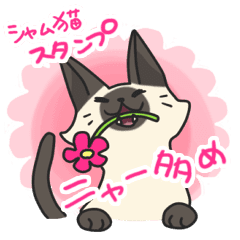 シャム猫スタンプ Line スタンプ Line Store シャム猫スタンプ Line スタンプ Line Store