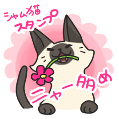 Siamese cat sticker(japanese)