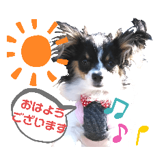 kurumi_20200710081958