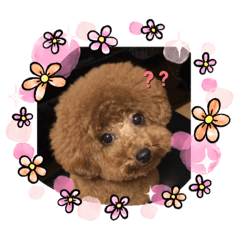 hana_20200709194637