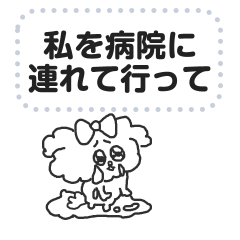 Toy poodle was heartbroken yesterday/4