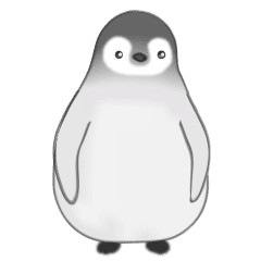 ペンギン 英語 ペンギン 英語