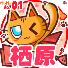 Cute cat's name sticker MY100720N07