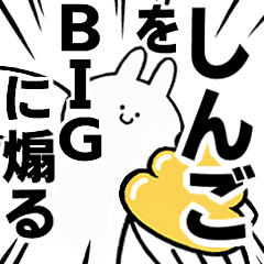 BIG Rabbits feeding [Shingo]