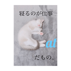 Ringo_20200709074932