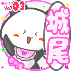 Panda's name sticker MY100720N20