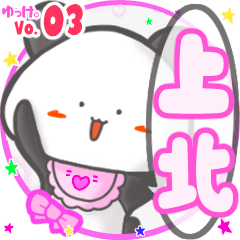 Panda's name sticker MY100720N16