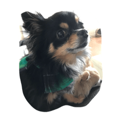 JUNKO_20200709213035