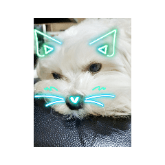 多多＆表情符號