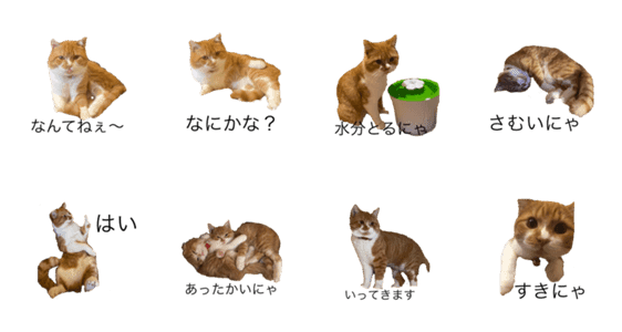 うにじる にゃんこ1 Lineクリエイターズスタンプ Stamplist