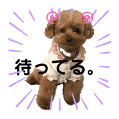 ryuki_20200710151131