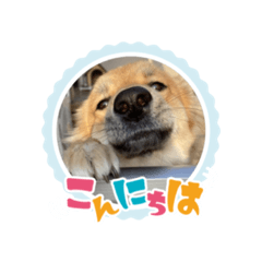 yukari_20200710112537