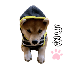 asuka_20200710102158