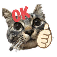 Nano Stamp_20200710123319