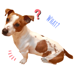 A-JET_20200710112627