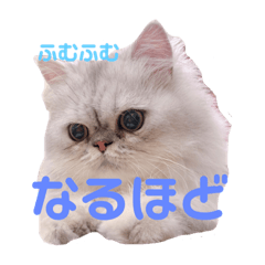 omochi_20200710154035