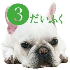 The 3rd a Sticker  of a French bulldog.