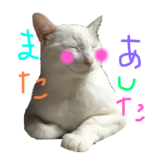 tomomi_20200710161200