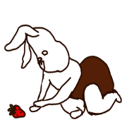 Mr.Rabbit.