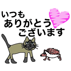 Siamese cat & hedgehog