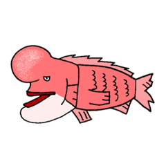 共隆頭魚的大輔