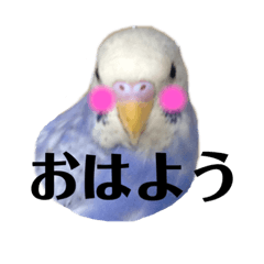 tomomi_20200710200653