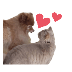 kanae_20200710202521