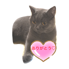 miyabi_20200710235816